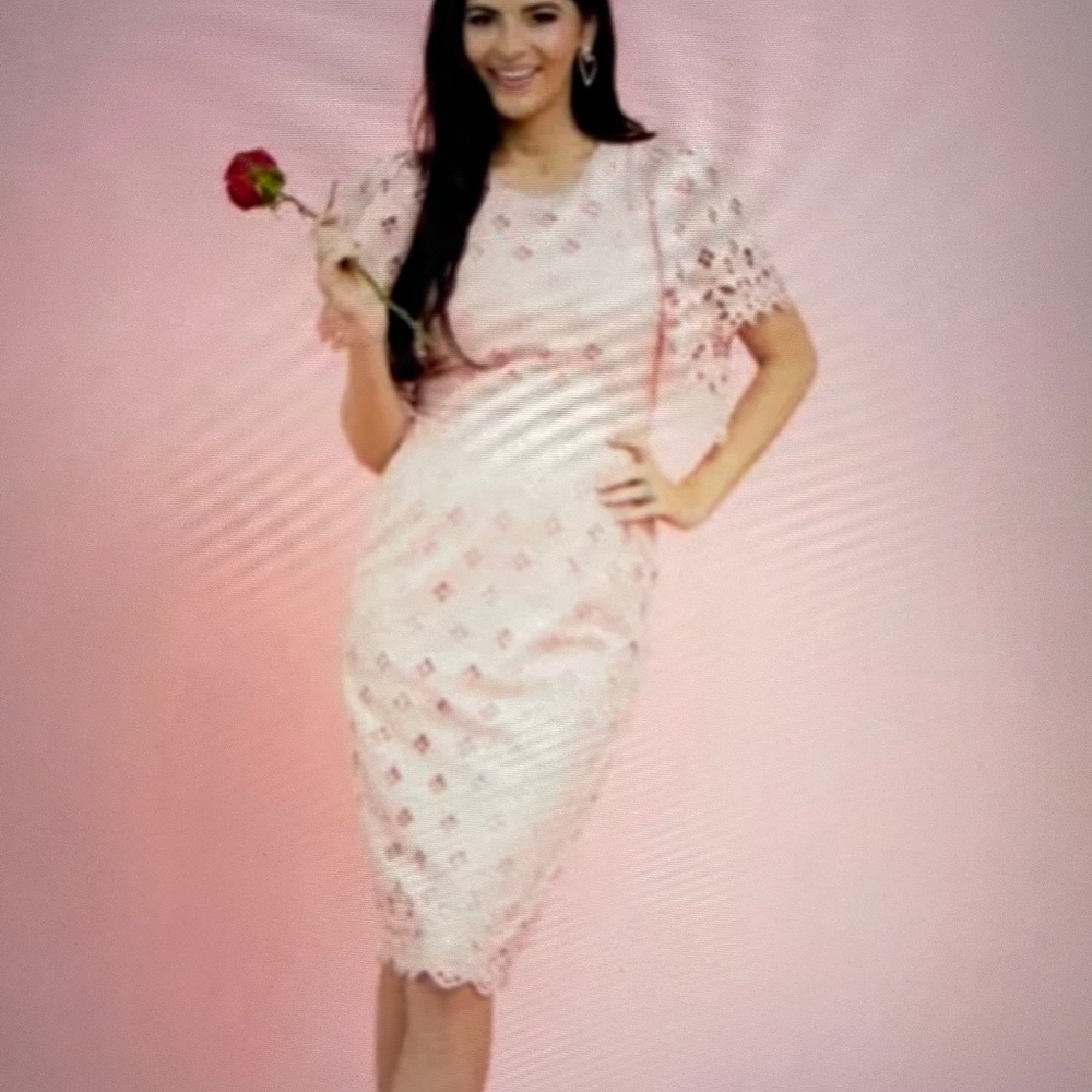 RACHEL PARCELL Women's Pink Eyelet Sheath Pink Midi Dress 2XL US16